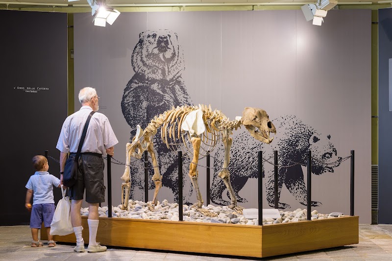 Museo di Archeologia e Paleontologia "Carlo Conti" — Punto di interesse a Borgosesia, Vercelli