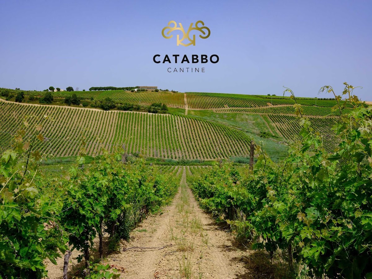 Cantine Catabbo — Punto di interesse a Campobasso, Campobasso