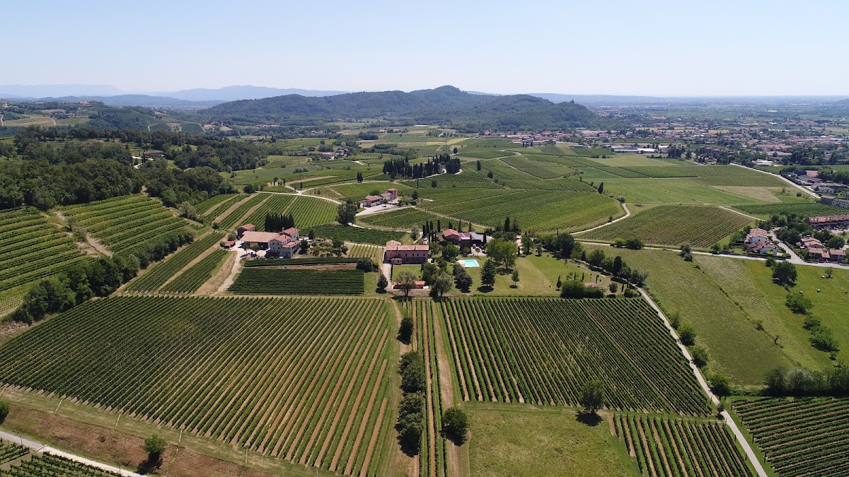 Azienda Agricola Perusini — Punto di interesse a Cormons, Gorizia