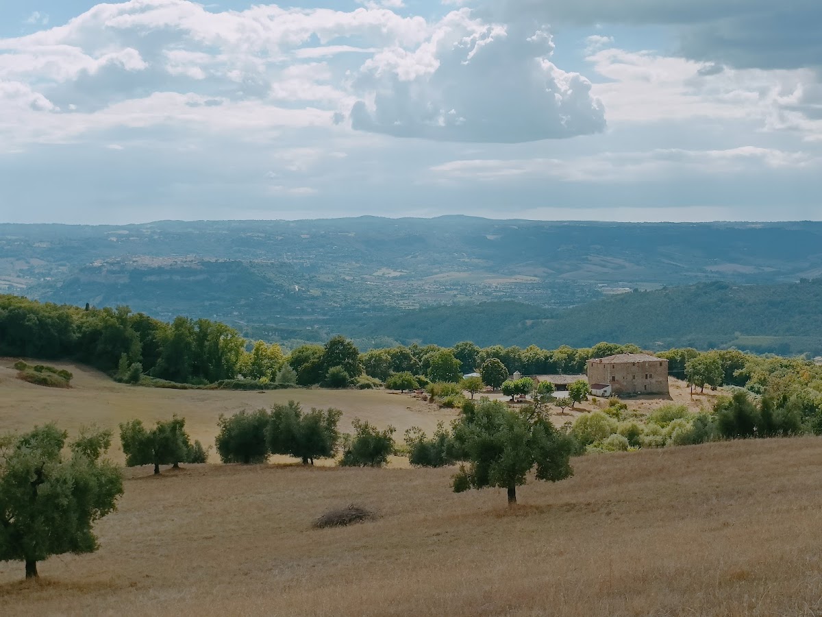 Azienda Agricola Basili Danilo