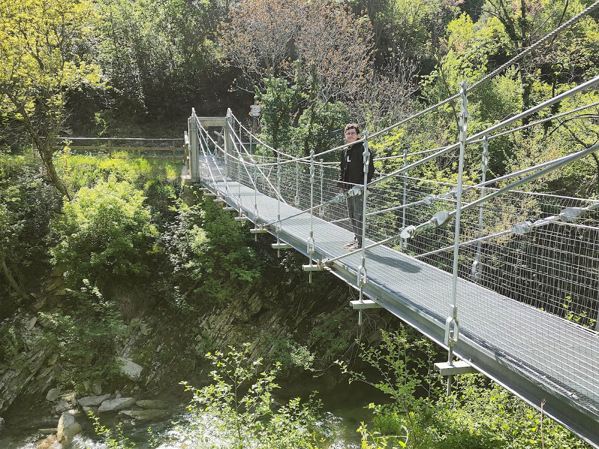 Sentiero delle ammoniti — Punto di interesse a Urbino, Pesaro e Urbino