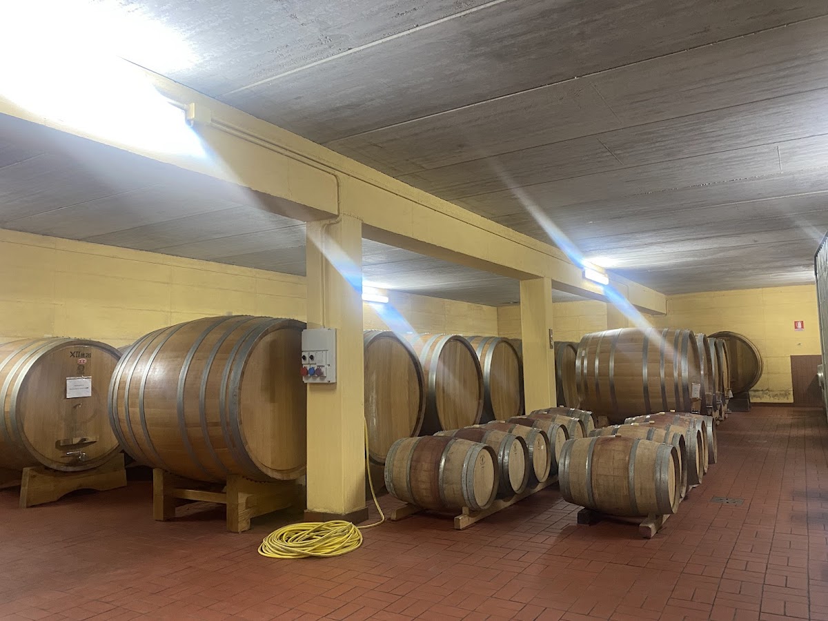 Cantina Fratelli Pardi S.S. — Punto di interesse a Montefalco, Perugia