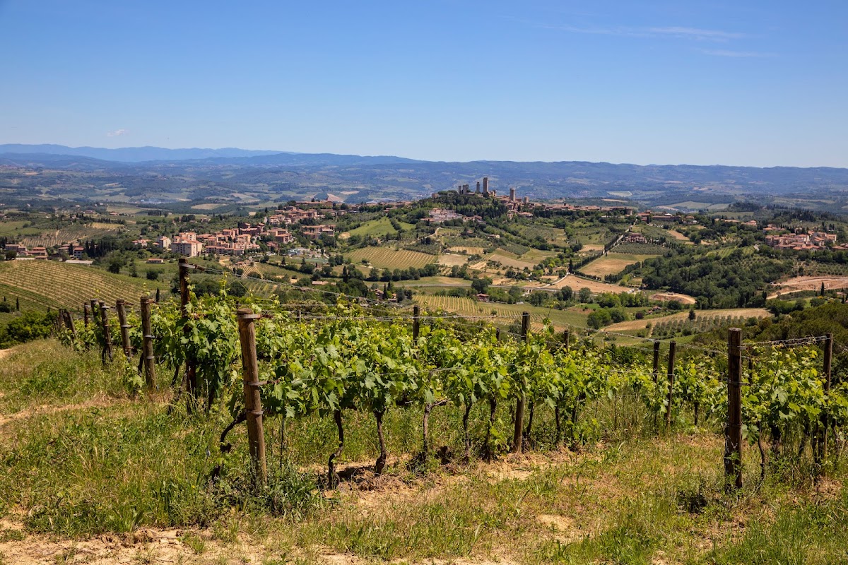 Montenidoli