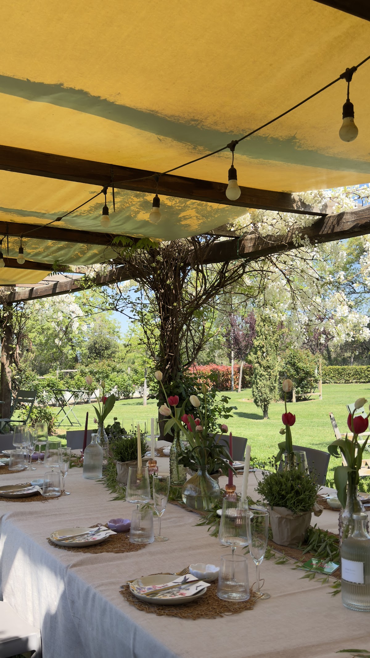 Agriturismo La Nuova Fattoria — Punto di interesse a Viterbo, Viterbo