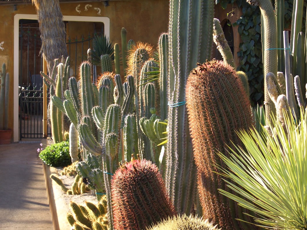 Giardino Esotico Pallanca