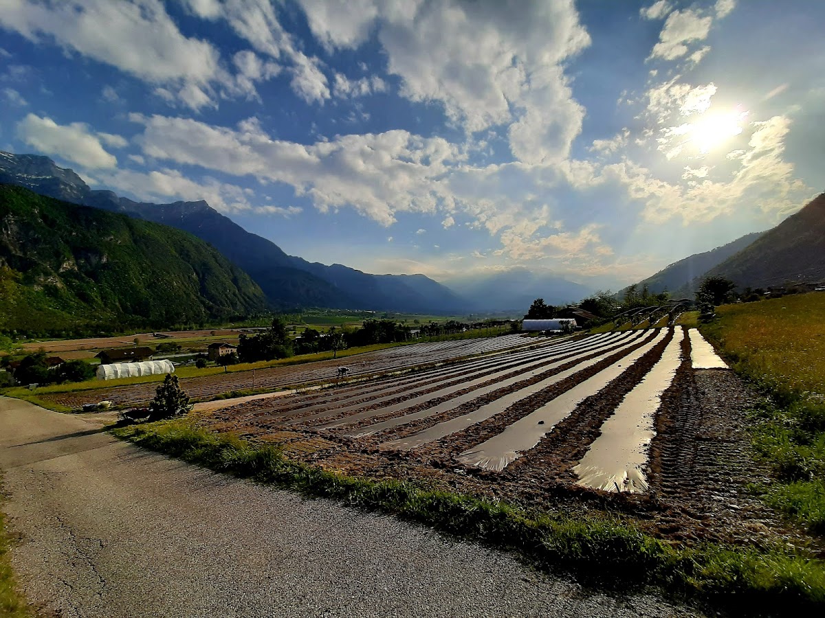 Azienda agricola Ai Masi — Punto di interesse a Trento, Trento