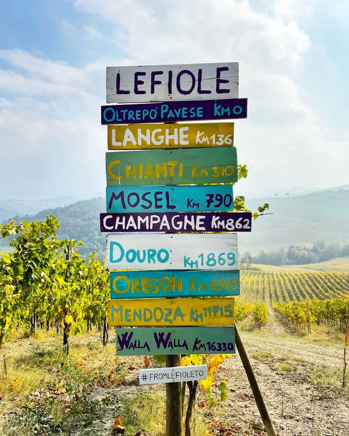 Lefiole I Vini & Enoturismo