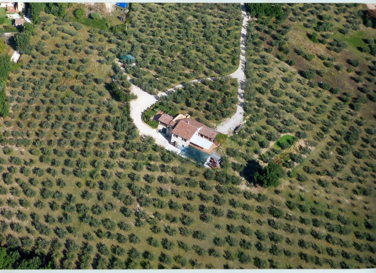 Cantina Colle Ciocco