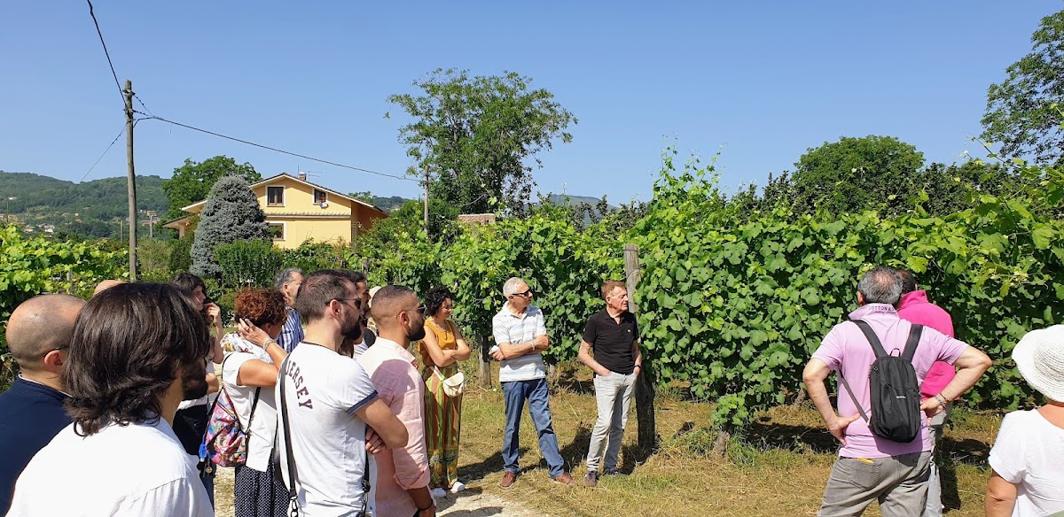 Cantina del Barone di Luigi Sarno