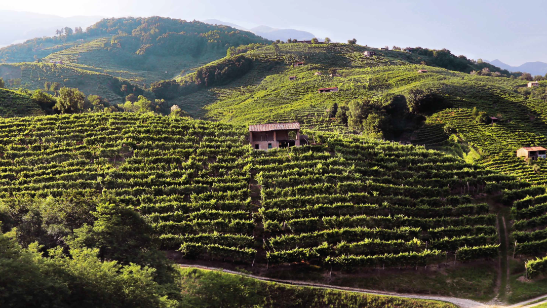 Nani Rizzi Spumanti di Valdobbiadene