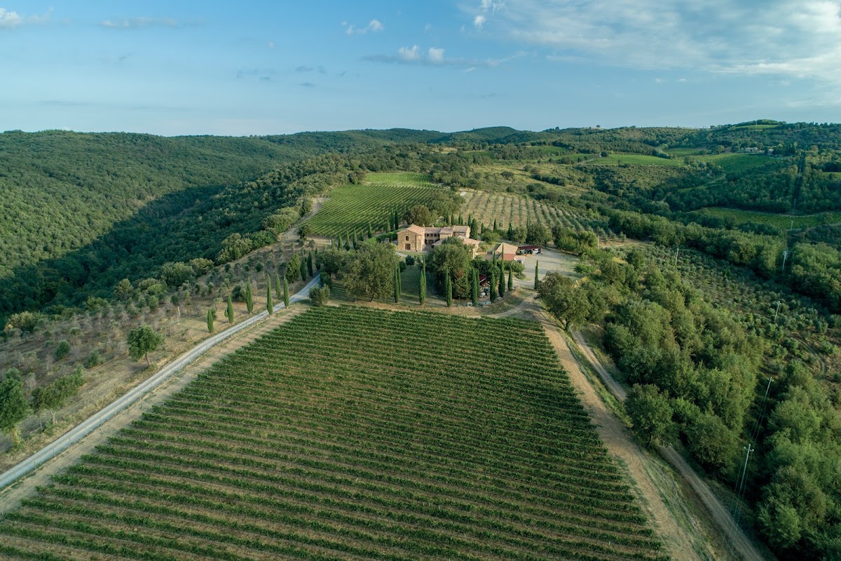 Podere Casisano - Brunello di Montalcino