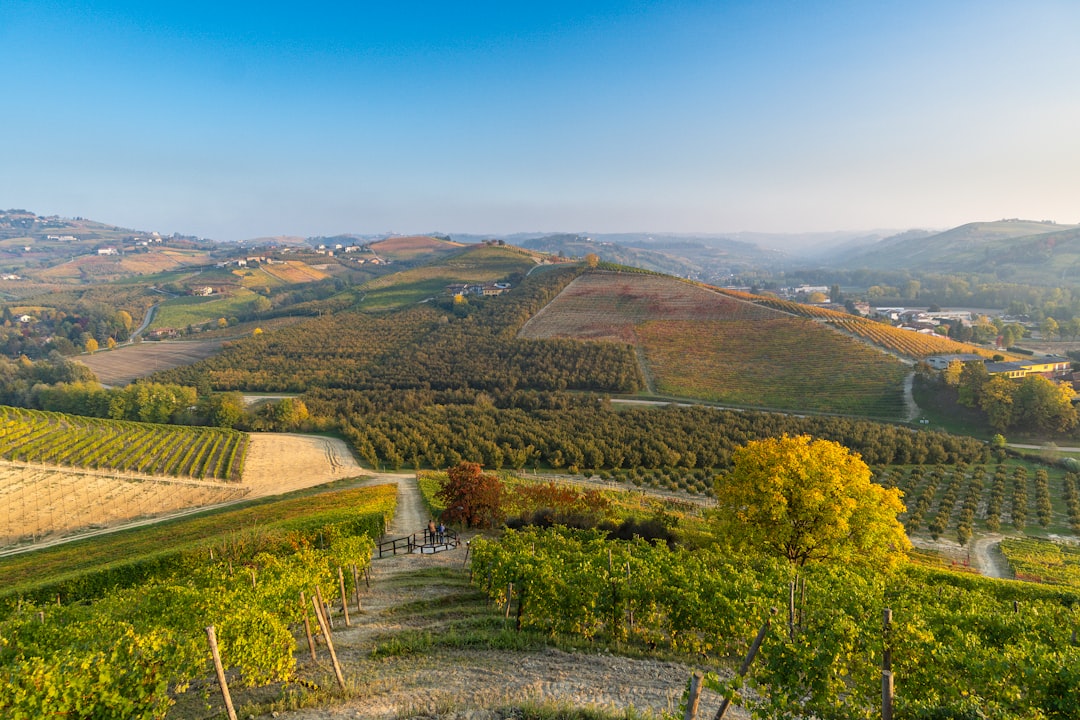 Monforte d'Alba — Punto di interesse , Cuneo