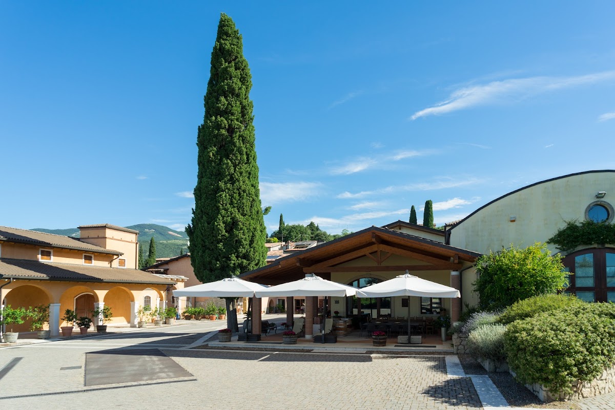🍷Azienda Agricola Valentina Cubi - Cantina & Agriturismo — Punto di interesse a Verona, Verona