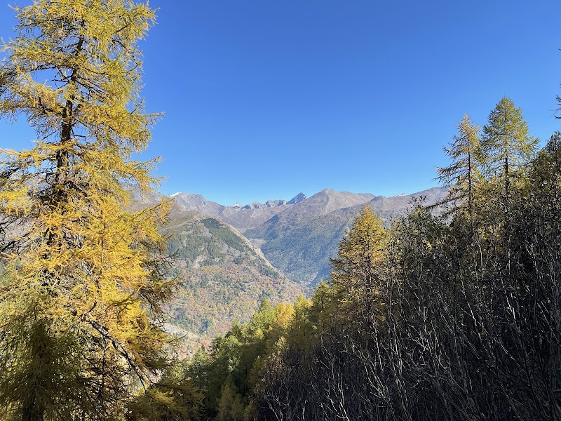 Poggio 3 Croci