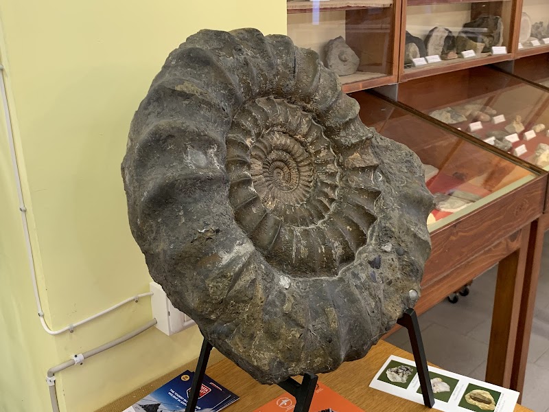 Museo di Mineralogia e Paleontologia