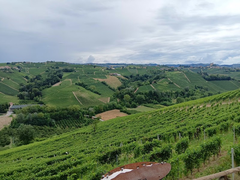Panchina Gigante 254 - Castiglione Falletto — Punto di interesse a Barolo, Cuneo