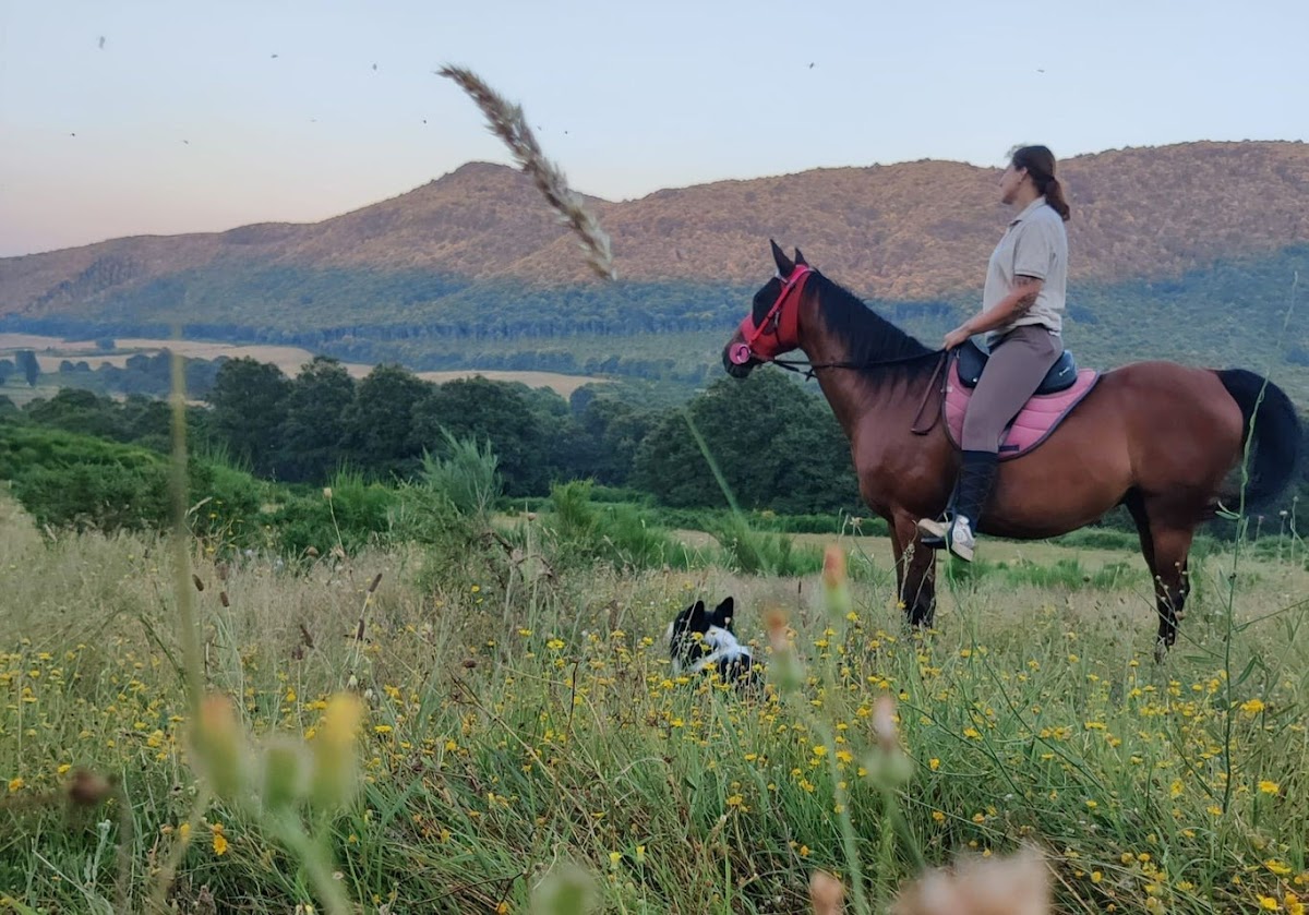 The Fairy Ranch — Punto di interesse a Frascati, Roma