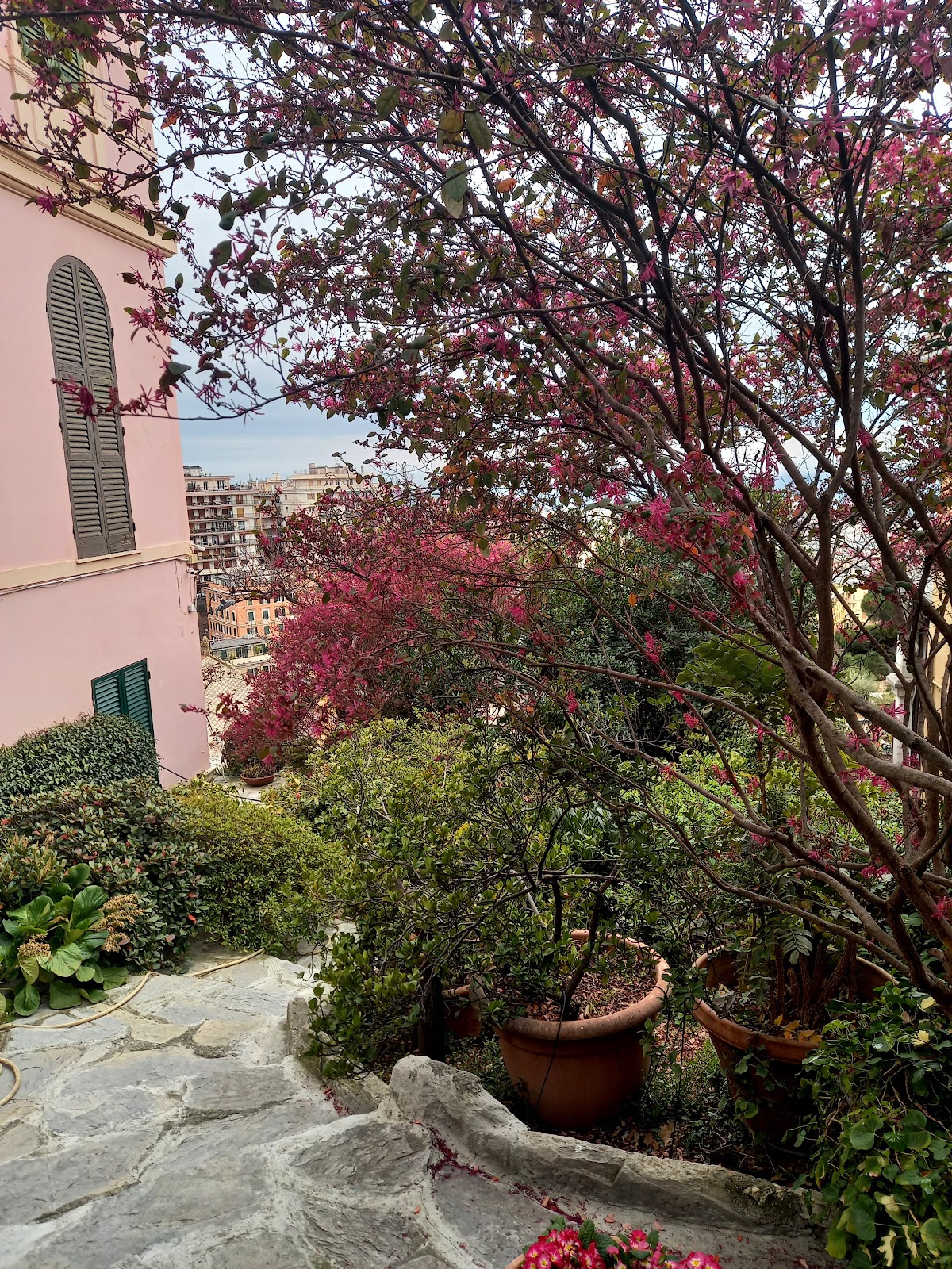 Genova dall'Alto