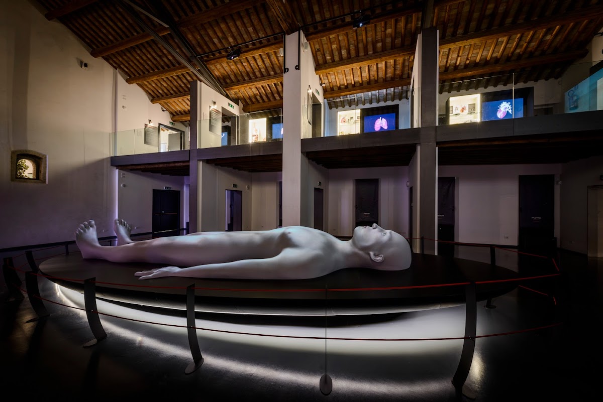 MUSME - Museo di Storia della Medicina in Padova — Punto di interesse a Padova, Padova