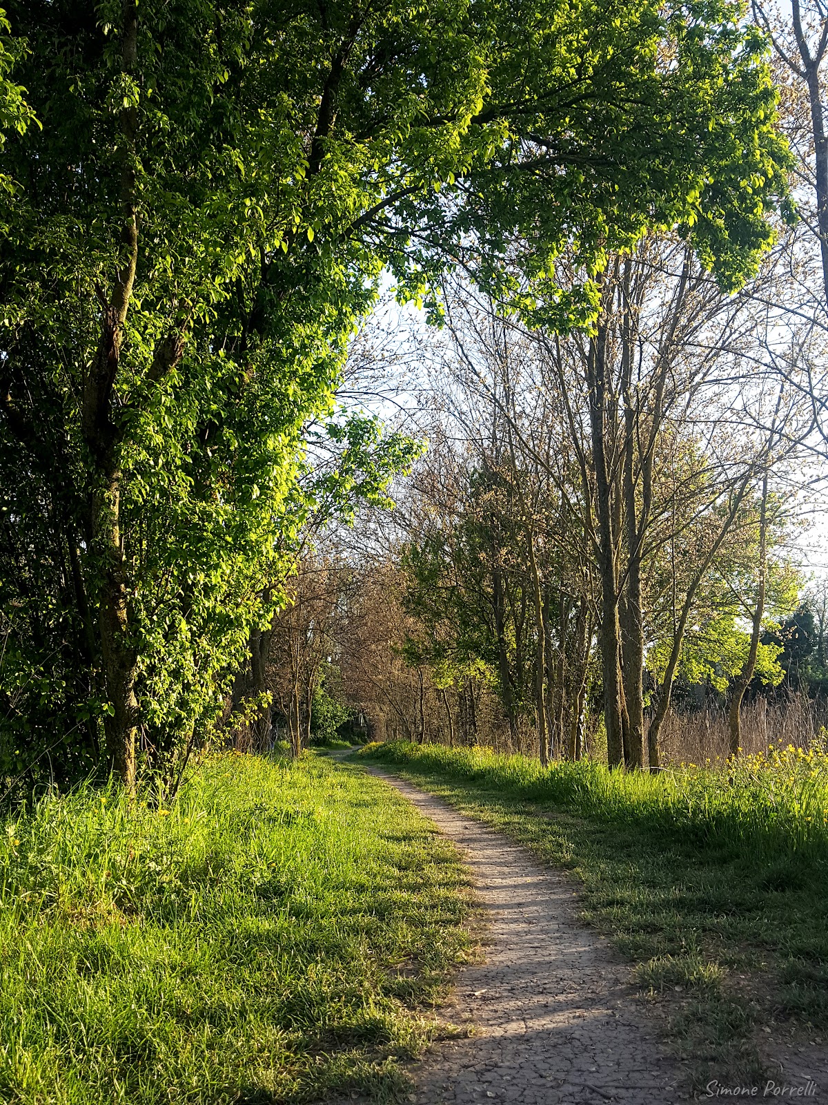 Parco rurale della Cervelletta — Punto di interesse a Frascati, Roma