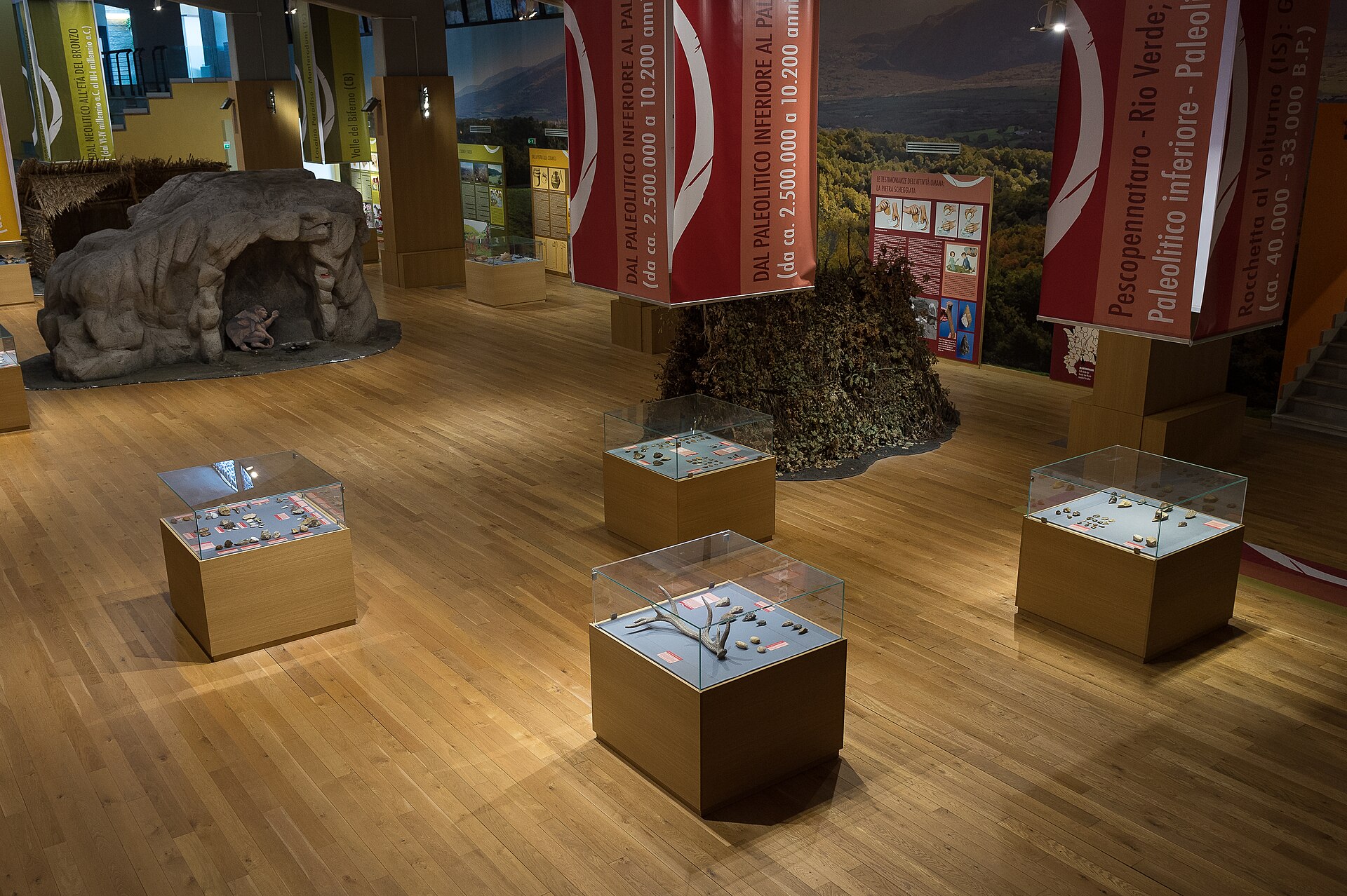 Scopri Museo Nazionale del Paleolitico