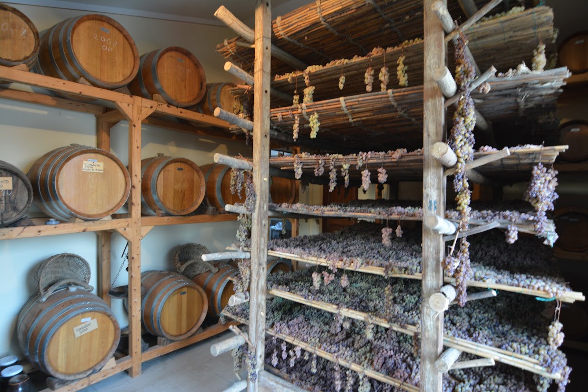 Le Bèrne - Vino Nobile di Montepulciano