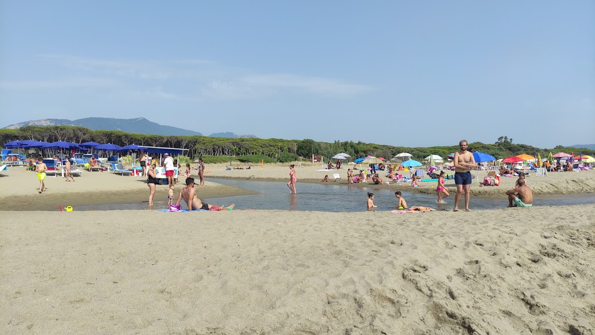 Pineta di Paestum — Punto di interesse a Paestum, Salerno