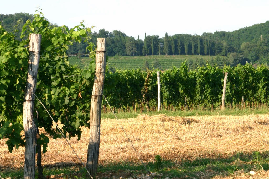 Borgo San Daniele — Punto di interesse a Cormons, Gorizia