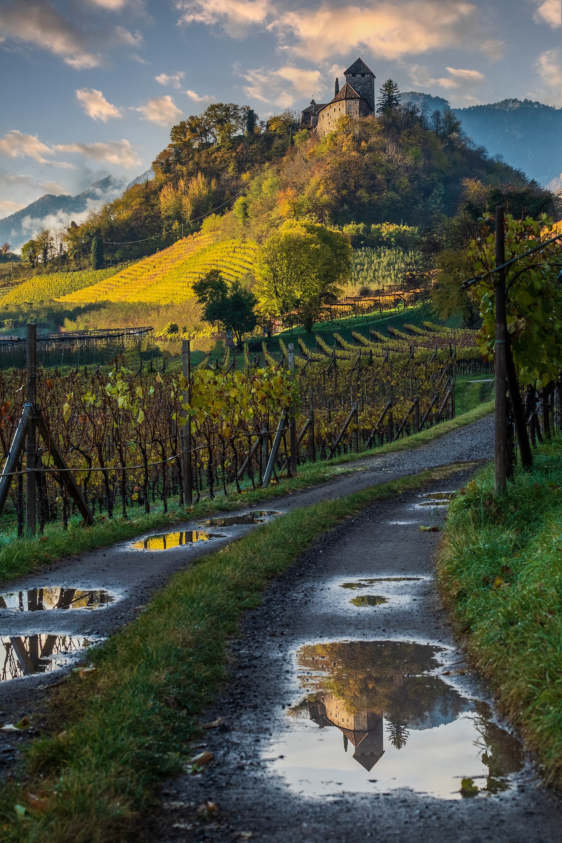 Castello di Altenburg — Punto di interesse , Trento