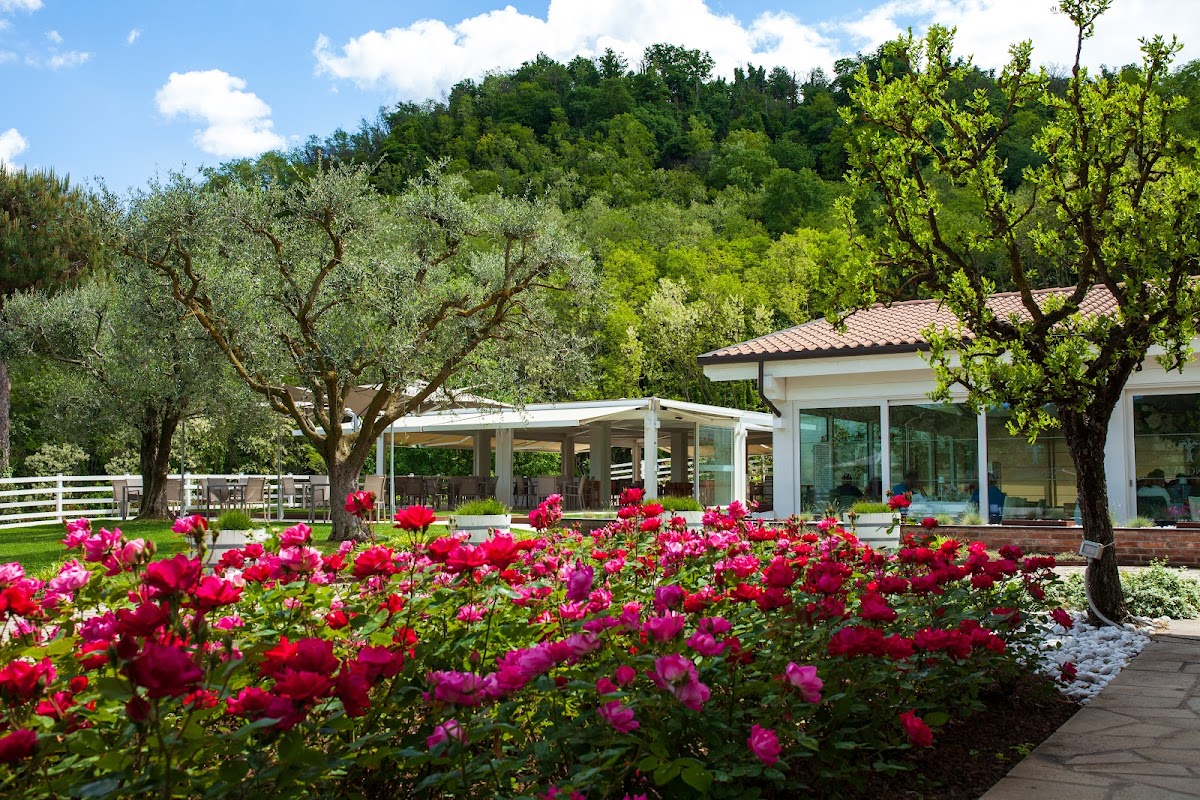 "Sengiari" Cantina - Agriturismo - Wine Shop — Punto di interesse a Padova, Padova