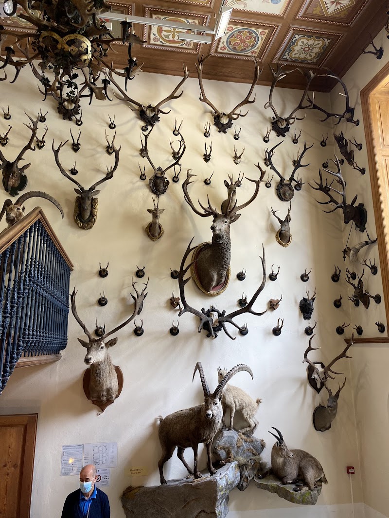 Museo regionale della fauna alpina Beck-Peccoz - Alpenfaunamuseum Beck-Peccoz