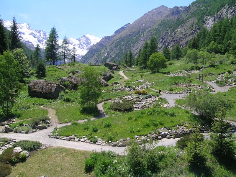 Giardino botanico alpino Paradisia — Punto di interesse a Cogne, Piedmont