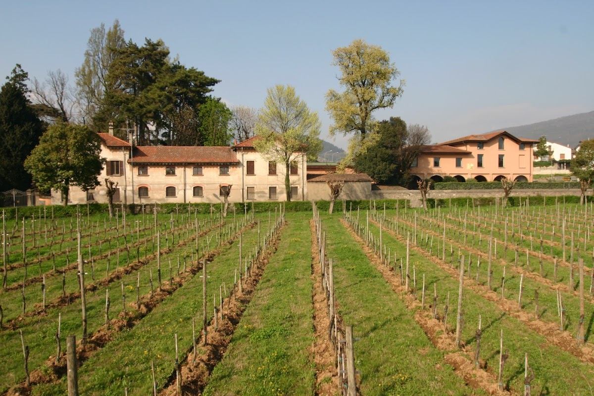 Azienda Agricola Ricci Curbastro — Punto di interesse a Brescia, Brescia