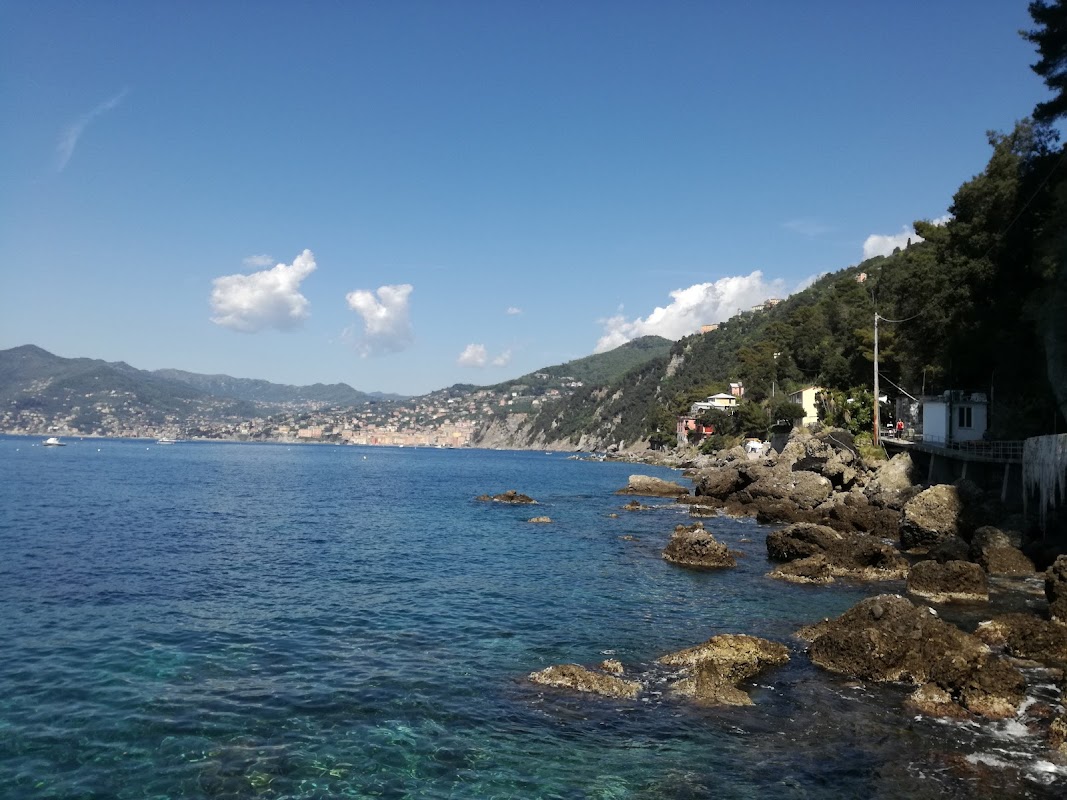 Porto Pidocchio — Punto di interesse a Camogli, Genova