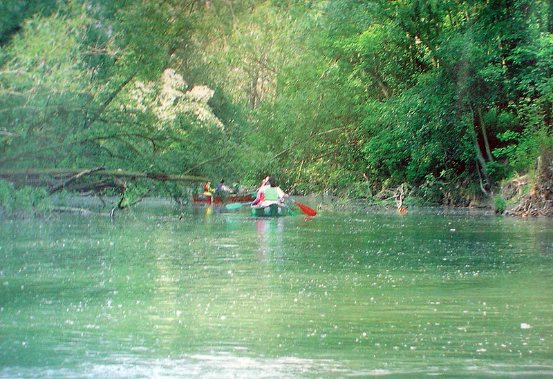 Parco naturale del fiume Savio — Punto di interesse , Venezia