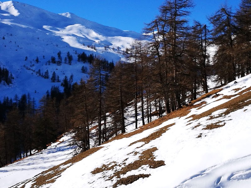 Alpe Bruns