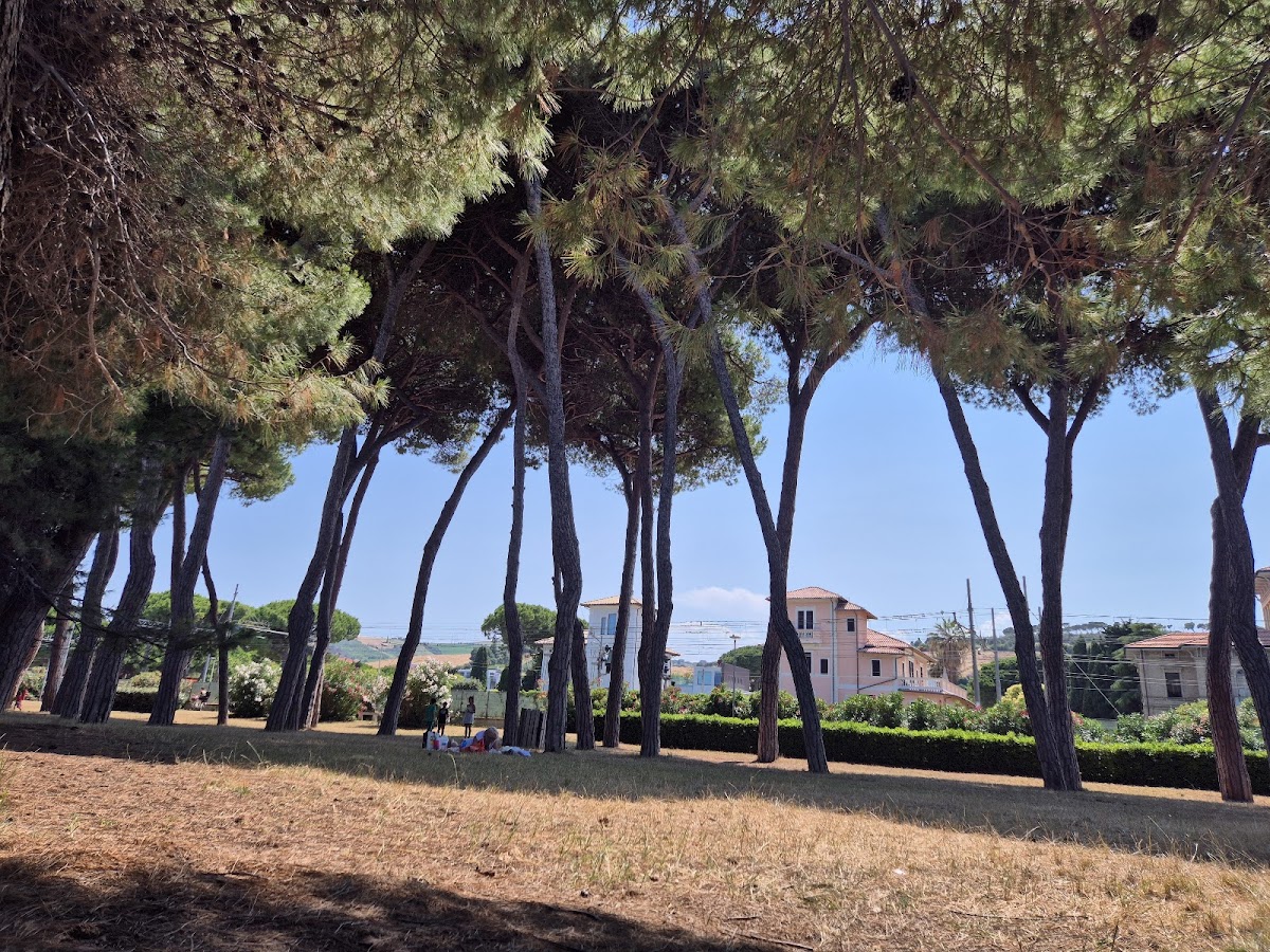 La Pineta — Punto di interesse a Teramo, Teramo