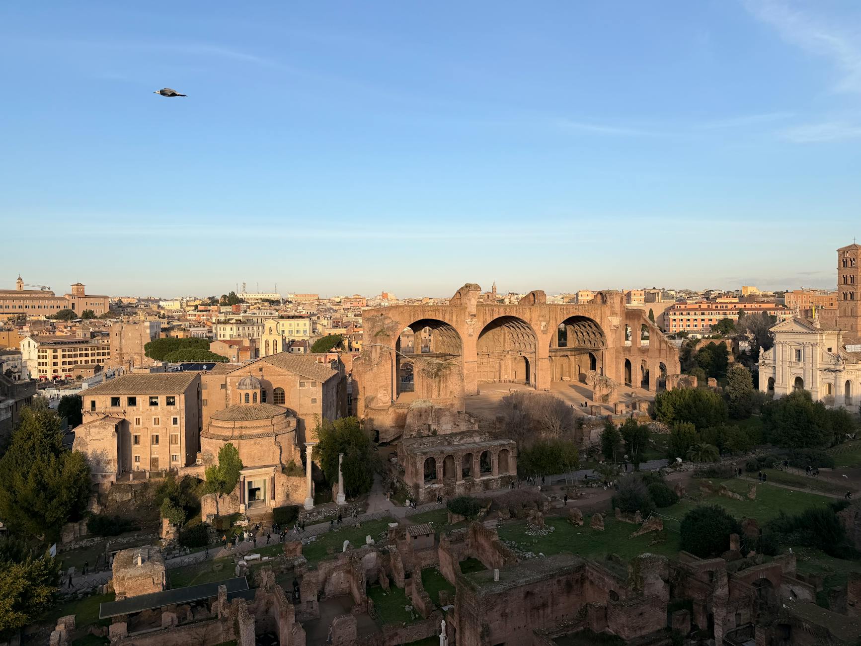 In zona: Foro Romano