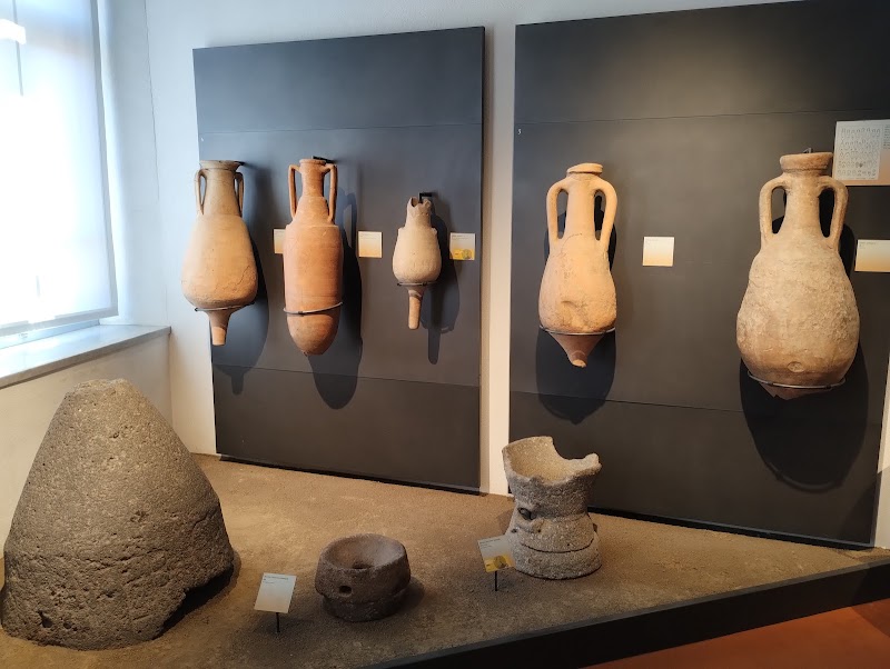 Museo Civico Archeologico e di Scienze Naturali "Federico Eusebio" — Punto di interesse a Alba, Cuneo