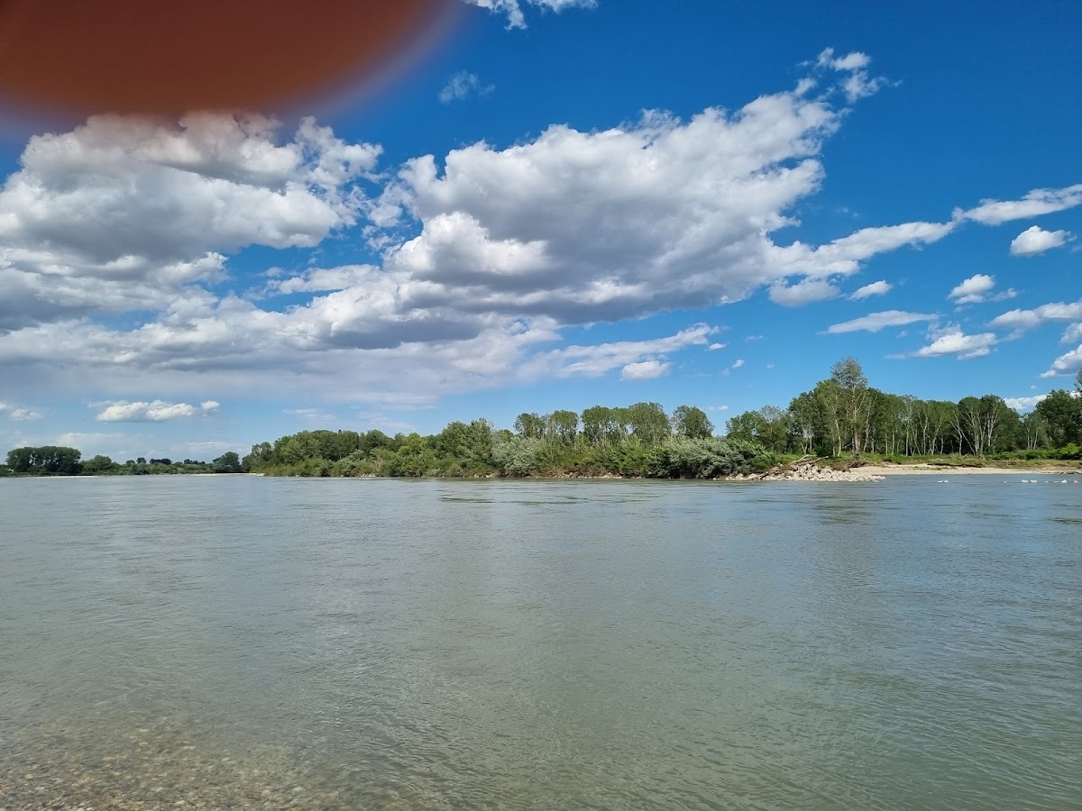 Riserva Naturale Speciale Confluenza del Tanaro — Punto di interesse a Neive, Cuneo