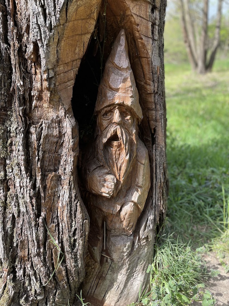 Il bosco fatato