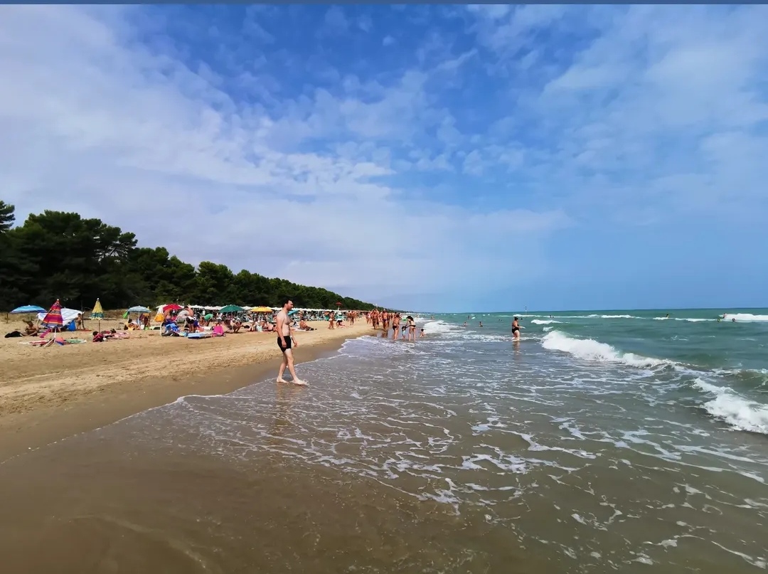 Area marina protetta Torre del Cerrano — Punto di interesse a Teramo, Teramo