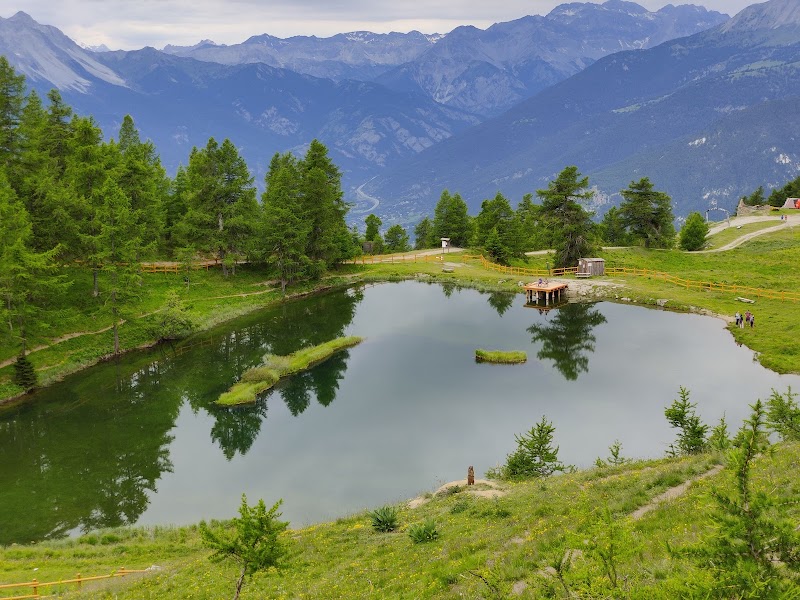 Parco naturale del Gran Bosco di Salbertrand — Punto di interesse a Exilles, Torino