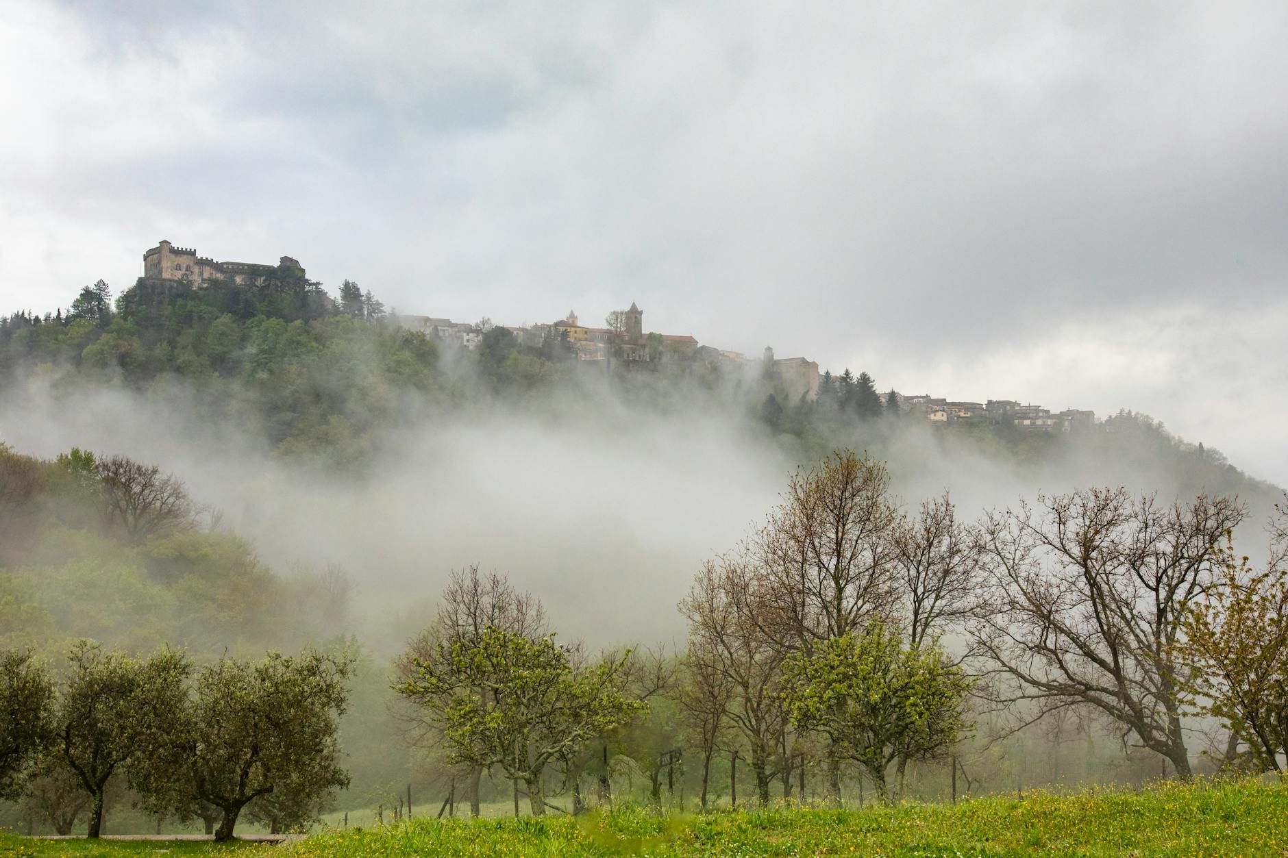 Borgo Sant'Antonio Abate — Punto di interesse , Napoli