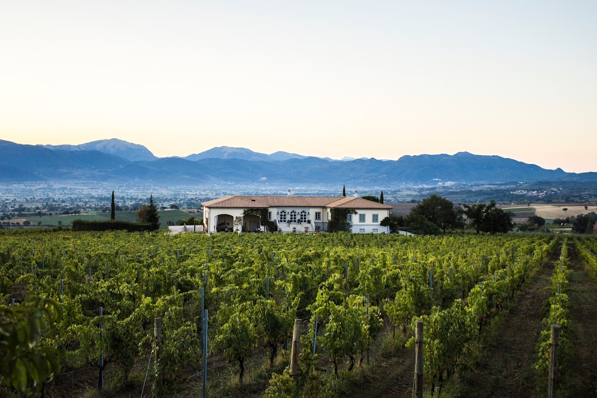 Tenuta Brancalupo - Lungarotti Montefalco — Punto di interesse a Montefalco, Perugia