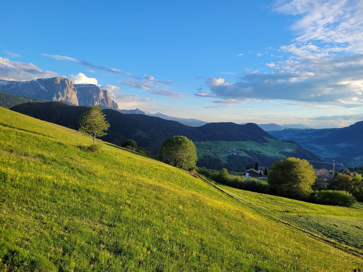 Freudpromenade-Passeggiata Freud — Punto di interesse a Bolzano, Bolzano