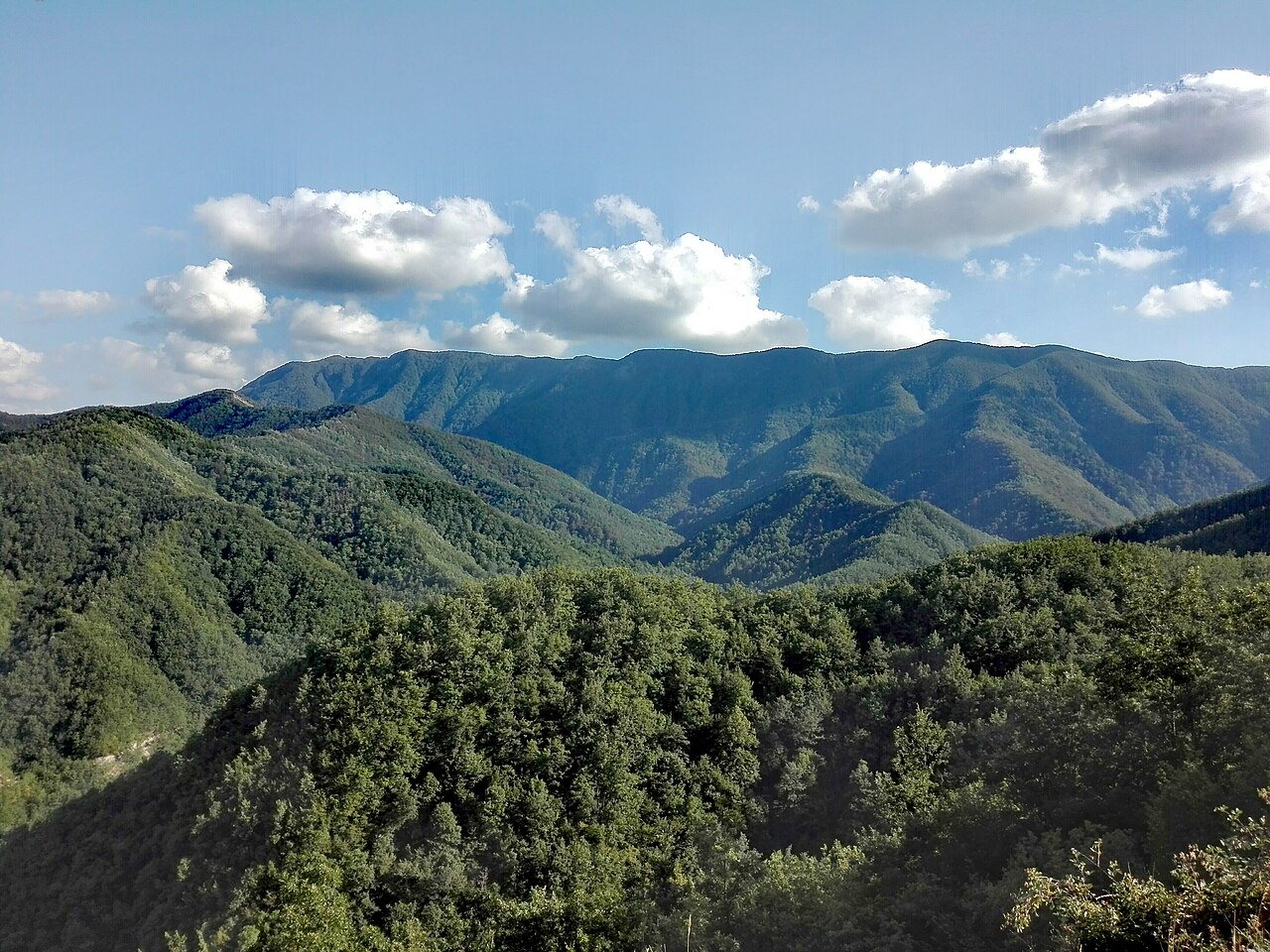 Riserva naturale Sasso Fratino — Point of interest , Ancona
