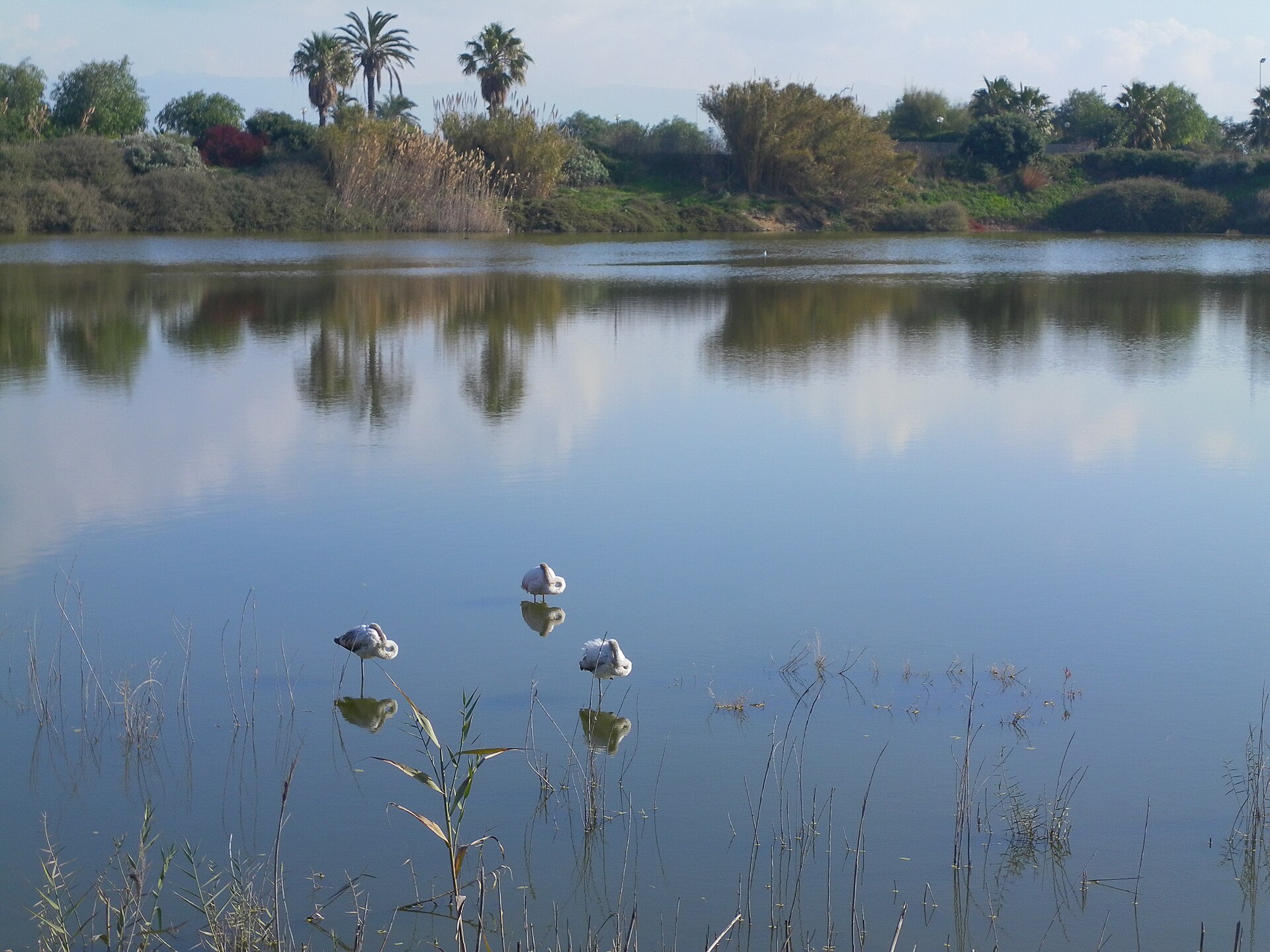 Parco di Terramaini — Punto di interesse a Cagliari, Cagliari