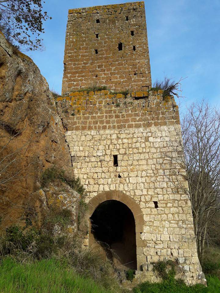 Necropoli Etrusca di Castel d'Asso — Punto di interesse a Viterbo, Viterbo