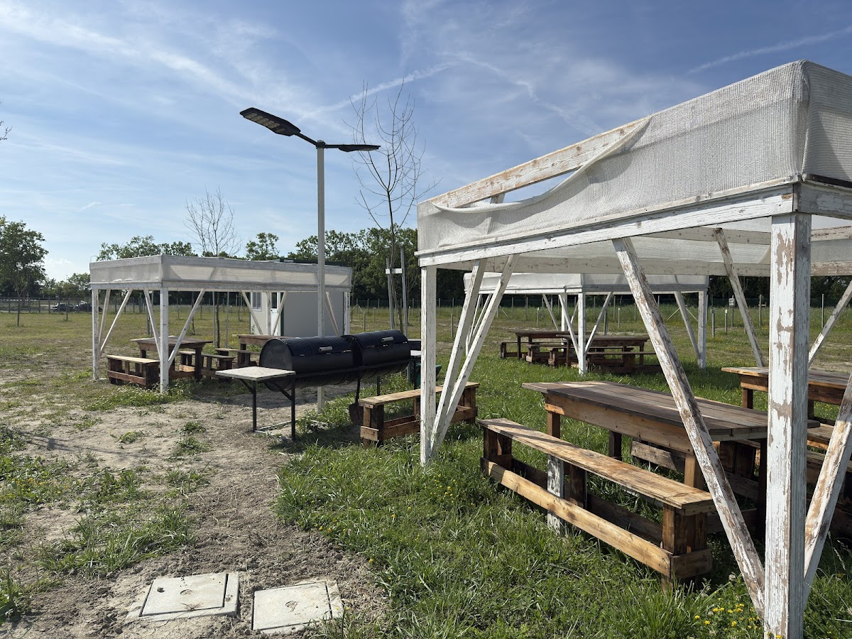 Area Camper Lido di Classe — Punto di interesse a Ravenna, Ravenna